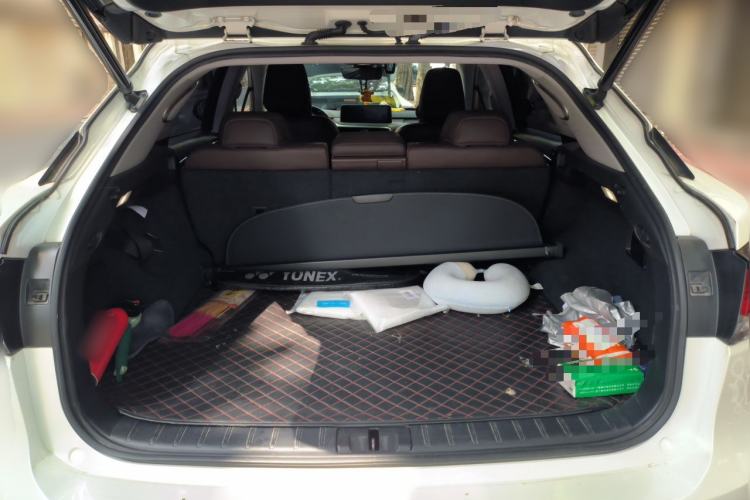 Used Lexus RX 2021 300 Four-Wheel Drive Special Edition Trunk