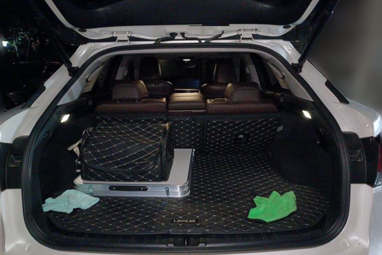Used Lexus RX 2021 300 Four-Wheel Drive Special Edition Trunk