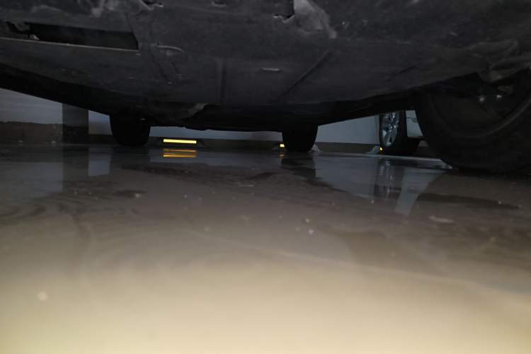 Used Lexus RX 2023 350h Two-Wheel Drive Enjoyment Version Chassis Front