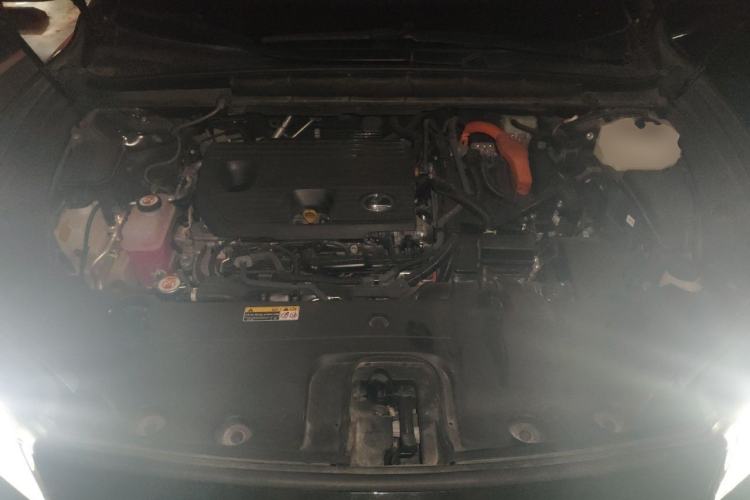 Used Lexus RX 2023 350h Four-Wheel Drive Enjoyment Version Engine Bay