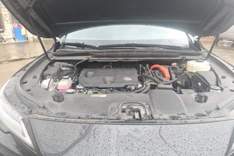 Used Lexus RX 2023 350h Four-Wheel Drive Enjoyment Version Engine Bay