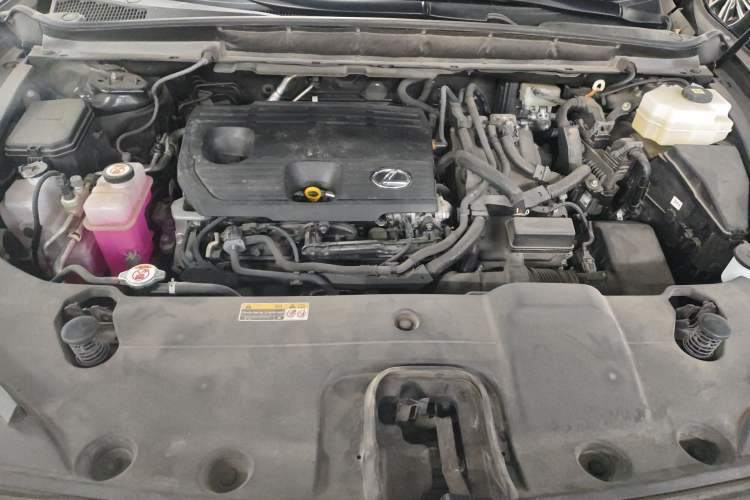 Used Lexus RX 2023 350h Two-Wheel Drive Comfort Edition Engine Bay