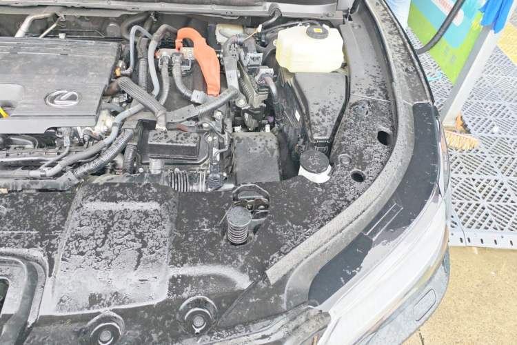 Used Lexus RX 2023 350h Four-Wheel Drive Enjoyment Version Engine Bay Left