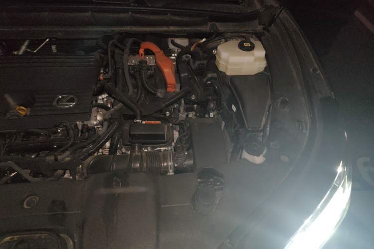 Used Lexus RX 2023 350h Four-Wheel Drive Enjoyment Version Engine Bay Left