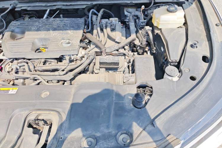 Used Lexus RX 2023 350h Two-Wheel Drive Comfort Edition Engine Bay Left