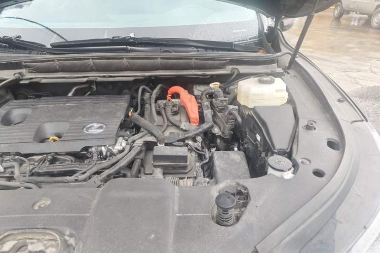 Used Lexus RX 2023 350h Four-Wheel Drive Enjoyment Version Engine Bay Left