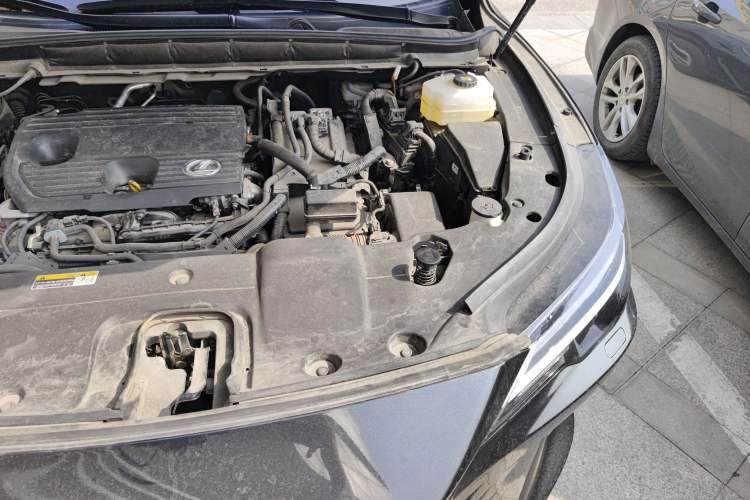 Used Lexus RX 2023 350h Two-Wheel Drive Enjoyment Version Engine Bay Left