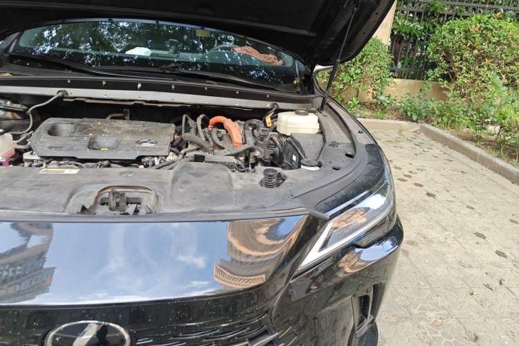 Used Lexus RX 2023 350h Four-Wheel Drive Enjoyment Version Engine Bay Left