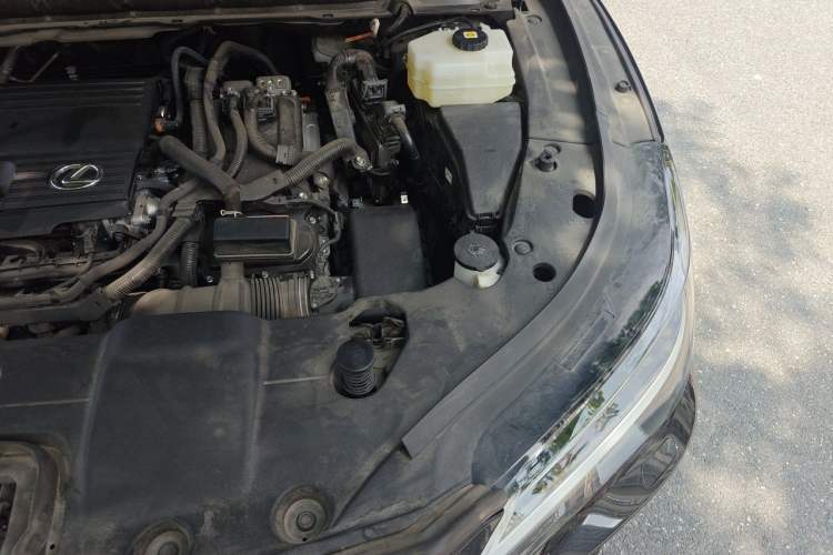 Used Lexus RX 2023 350h Two-Wheel Drive Enjoyment Version Engine Bay Left