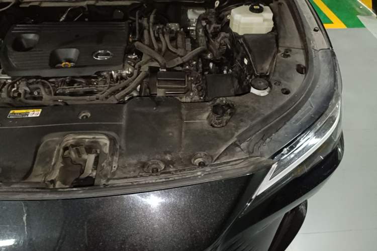 Used Lexus RX 2023 350h Two-Wheel Drive Enjoyment Version Engine Bay Left