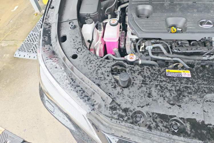 Used Lexus RX 2023 350h Four-Wheel Drive Enjoyment Version Engine Bay Right
