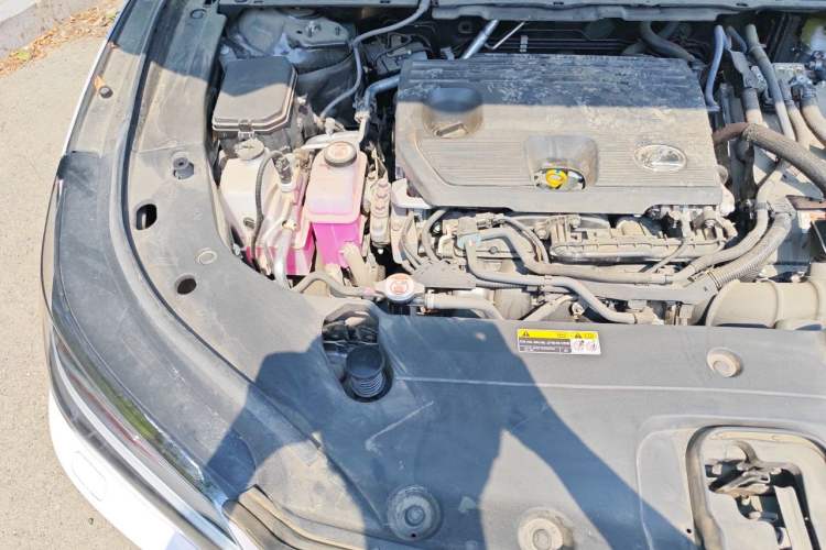 Used Lexus RX 2023 350h Two-Wheel Drive Comfort Edition Engine Bay Right