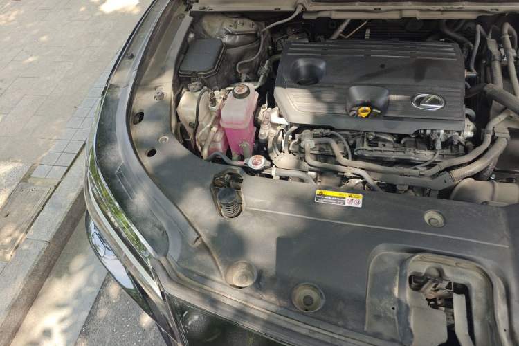 Used Lexus RX 2023 350h Two-Wheel Drive Enjoyment Version Engine Bay Right