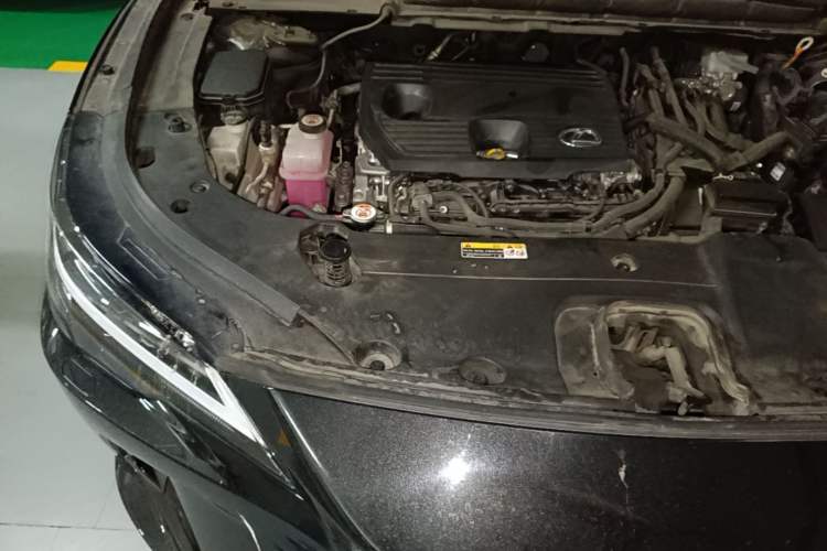 Used Lexus RX 2023 350h Two-Wheel Drive Enjoyment Version Engine Bay Right