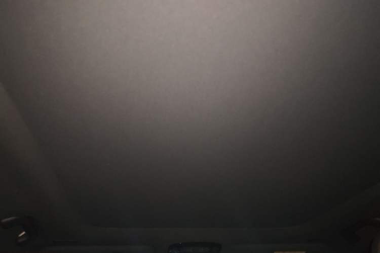Used Lexus RX 2023 350h Four-Wheel Drive Enjoyment Version Headliner