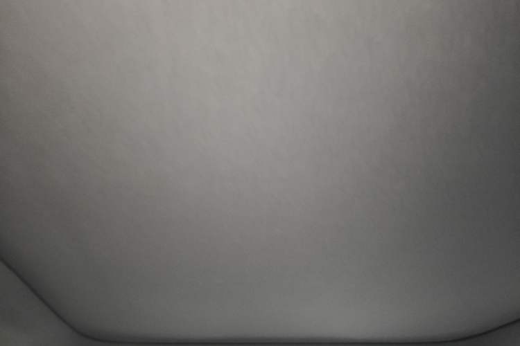 Used Lexus RX 2023 350h Four-Wheel Drive Enjoyment Version Headliner