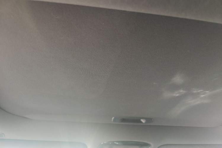 Used Lexus RX 2023 350h Two-Wheel Drive Enjoyment Version Headliner