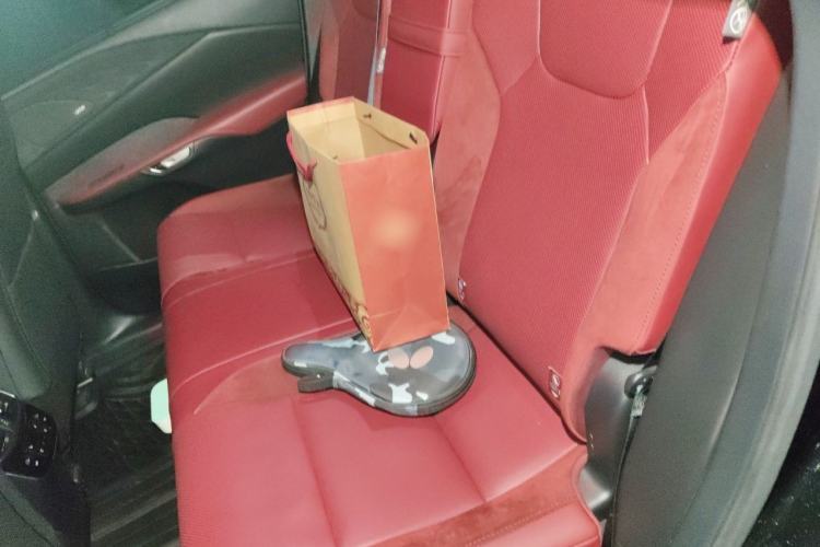 Used Lexus RX 2023 500h Four-Wheel Drive F SPORT Performance Left Rear Seat