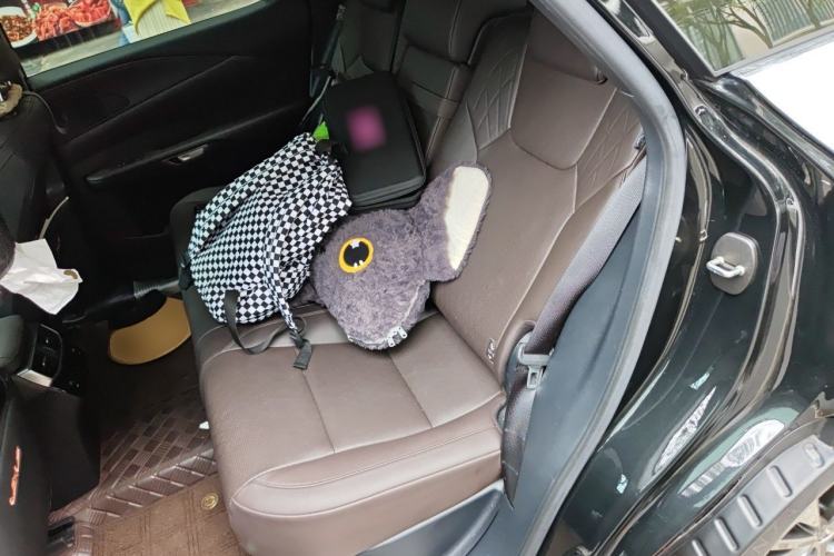 Used Lexus RX 2023 350h Two-Wheel Drive Comfort Edition Left Rear Seat