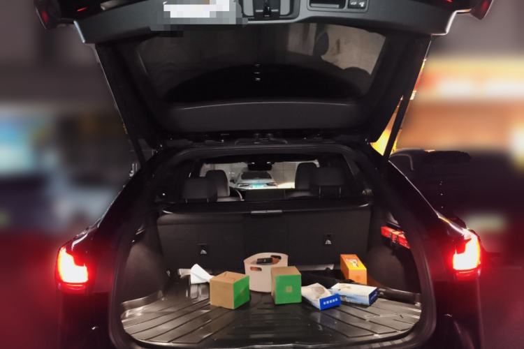 Used Lexus RX 2023 350h Two-Wheel Drive Enjoyment Version Trunk