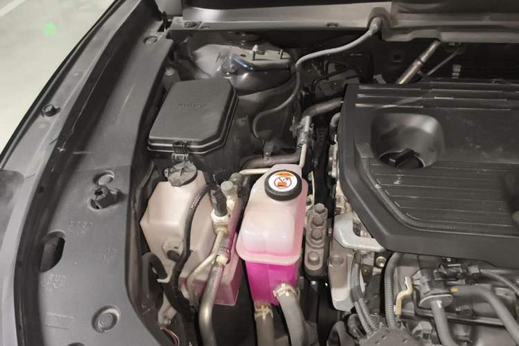 Used Lexus RX 2023 350h Two-Wheel Drive Comfort Edition Engine Bay Right