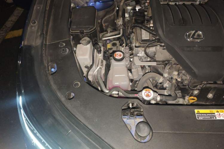 Used Lexus RX 2023 500h Four-Wheel Drive F SPORT Performance Engine Bay Right