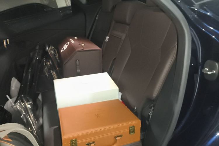 Used Lexus RX 2023 350h Two-Wheel Drive Comfort Edition Left Rear Seat