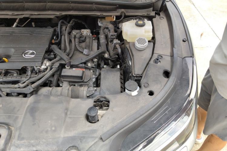 Used Lexus RX 2023 350h Two-Wheel Drive Enjoyment Version Engine Bay Left