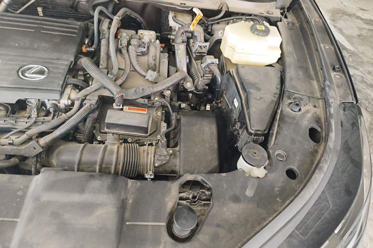 Used Lexus RX 2023 350h Two-Wheel Drive Comfort Edition Engine Bay Left