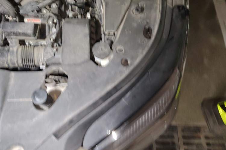 Used Lexus RX 2023 350h Four-Wheel Drive Enjoyment Version Engine Bay Left
