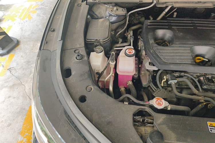 Used Lexus RX 2023 350h Two-Wheel Drive Comfort Edition Engine Bay Right