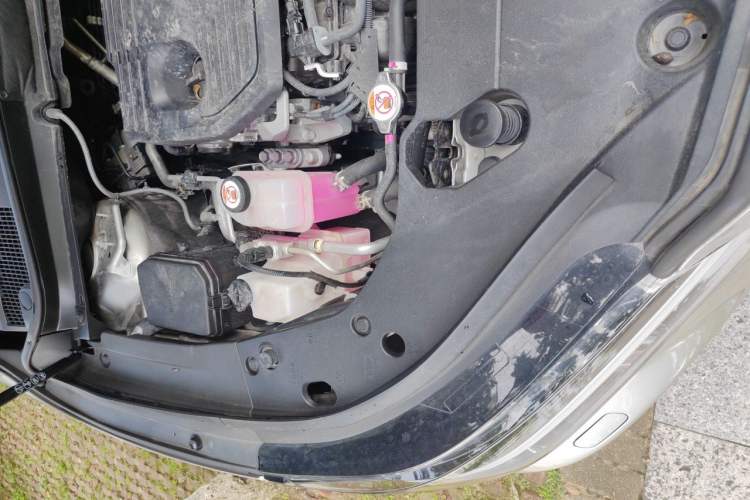 Used Lexus RX 2023 350h Two-Wheel Drive Enjoyment Version Engine Bay Right