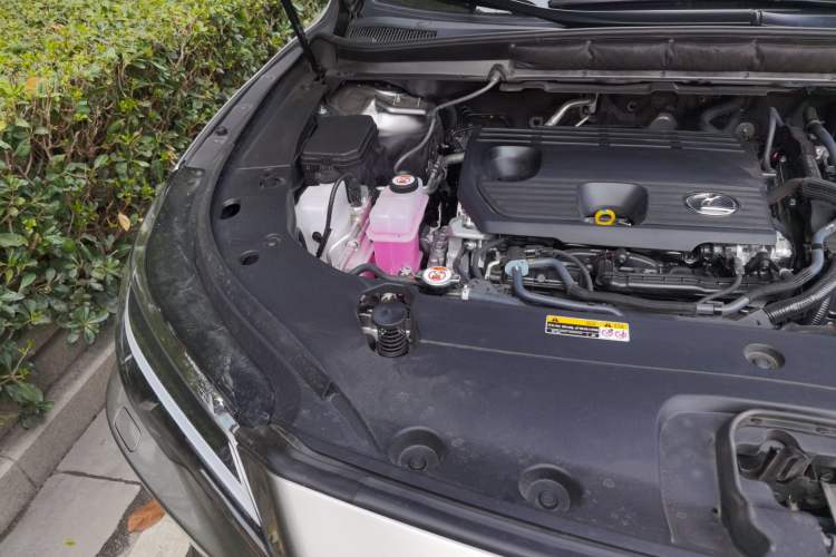 Used Lexus RX 2023 350h Two-Wheel Drive Enjoyment Version Engine Bay Right