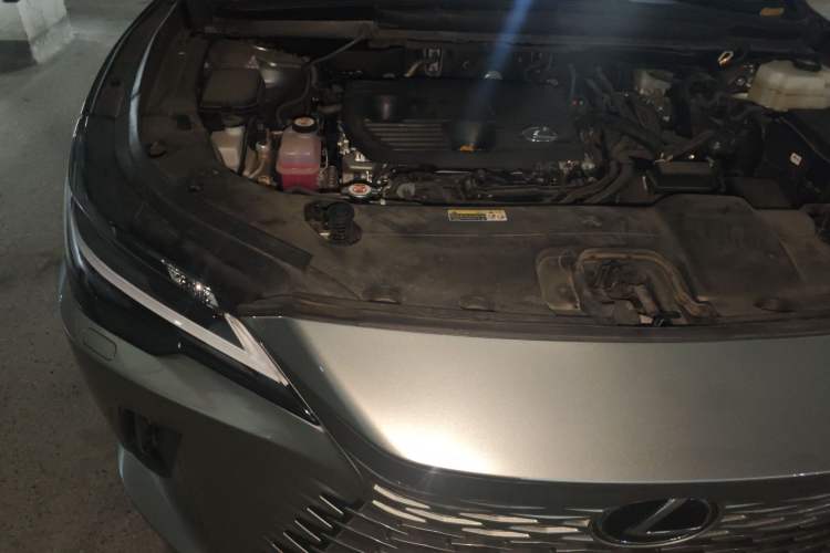 Used Lexus RX 2023 350h Two-Wheel Drive Enjoyment Version Engine Bay Right