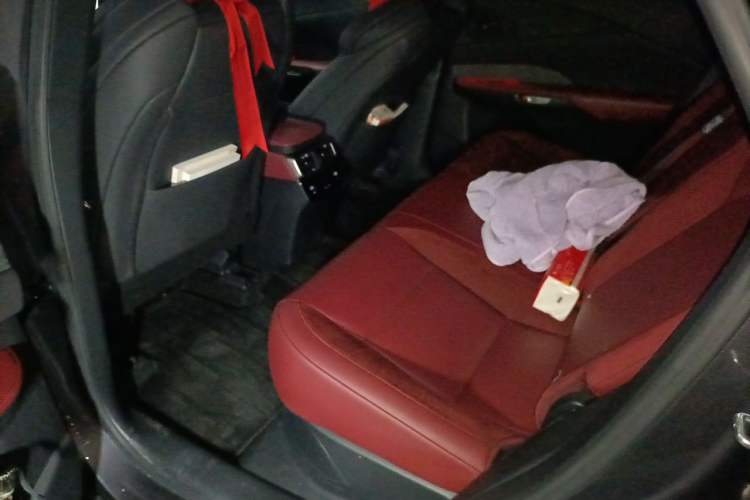 Used Lexus RX 2023 500h Four-Wheel Drive F SPORT Performance Left Rear Seat