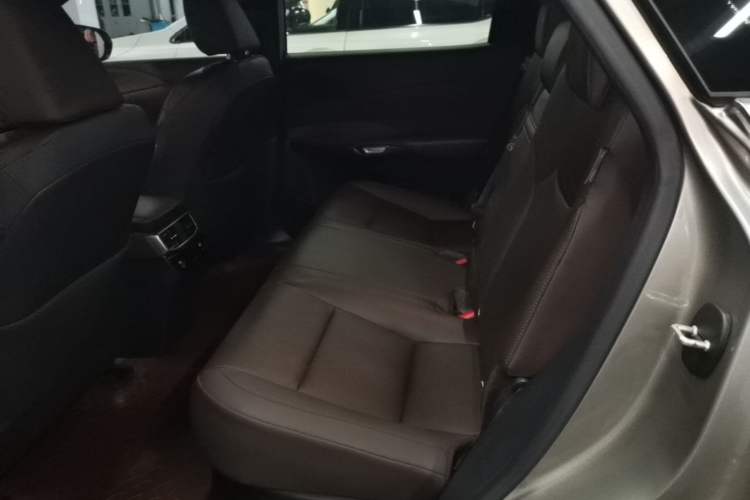 Used Lexus RX 2023 350h Four-Wheel Drive Enjoyment Version Left Rear Seat