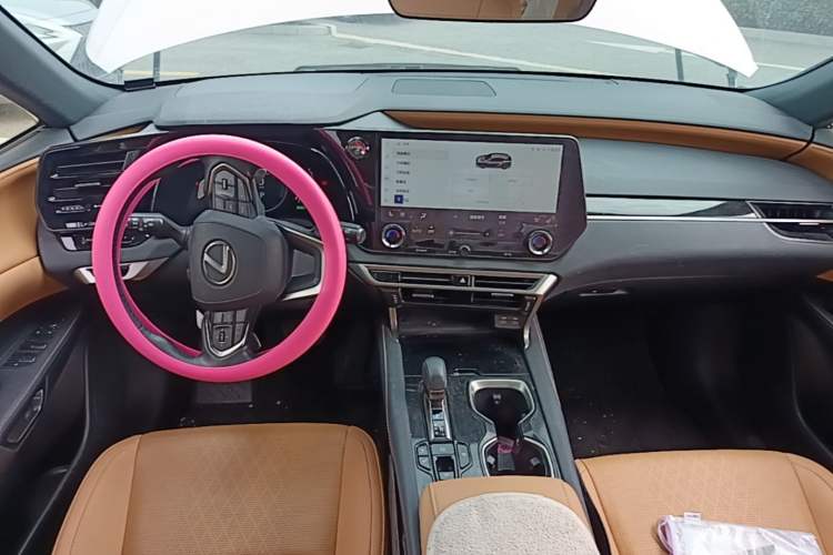 Used Lexus RX 2023 350h Four-Wheel Drive Enjoyment Version Center Console