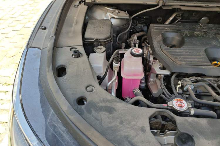 Used Lexus RX 2023 350h Four-Wheel Drive Enjoyment Version Engine Bay Right