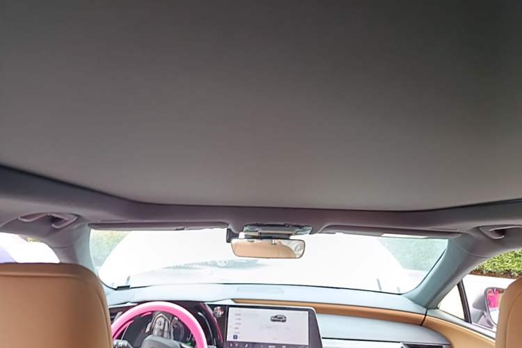 Used Lexus RX 2023 350h Four-Wheel Drive Enjoyment Version Headliner