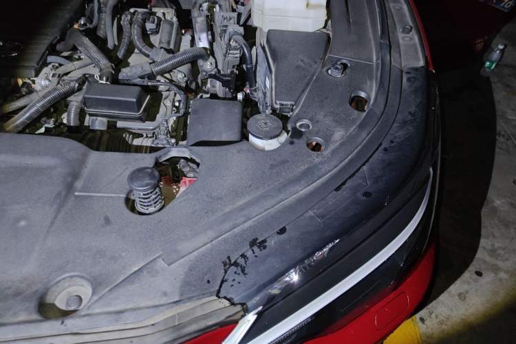 Used Lexus RX 2023 350h Two-Wheel Drive Comfort Edition Engine Bay Left