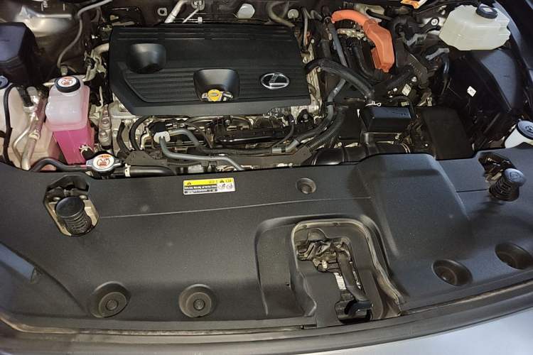 Used Lexus RX 2023 350h Four-Wheel Drive Enjoyment Version Engine Bay
