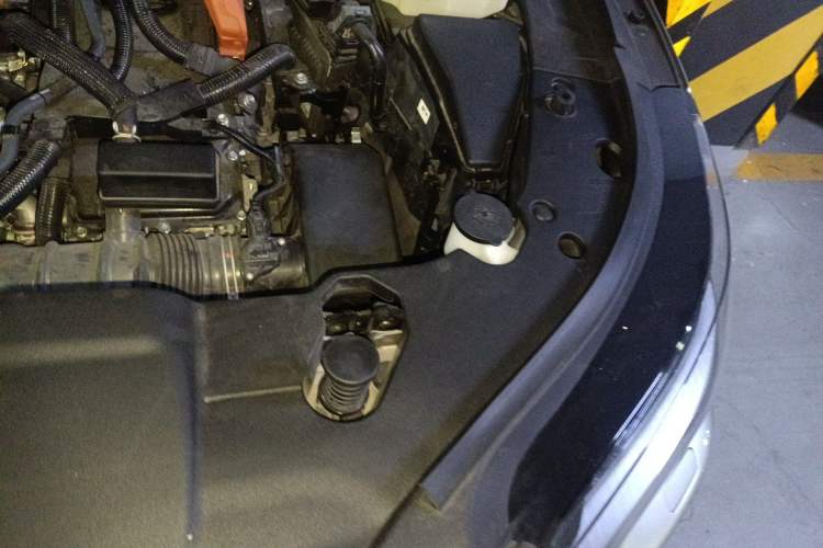 Used Lexus RX 2023 350h Four-Wheel Drive Enjoyment Version Engine Bay Left