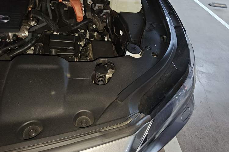 Used Lexus RX 2023 350h Four-Wheel Drive Enjoyment Version Engine Bay Left