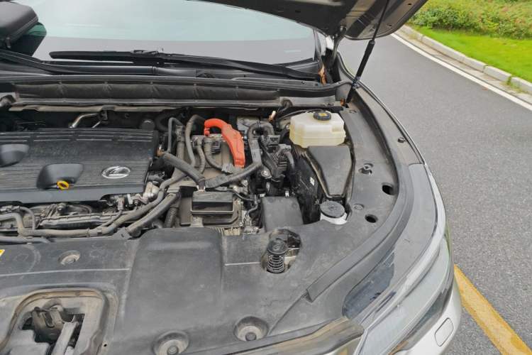 Used Lexus RX 2023 350h Four-Wheel Drive Enjoyment Version Engine Bay Left