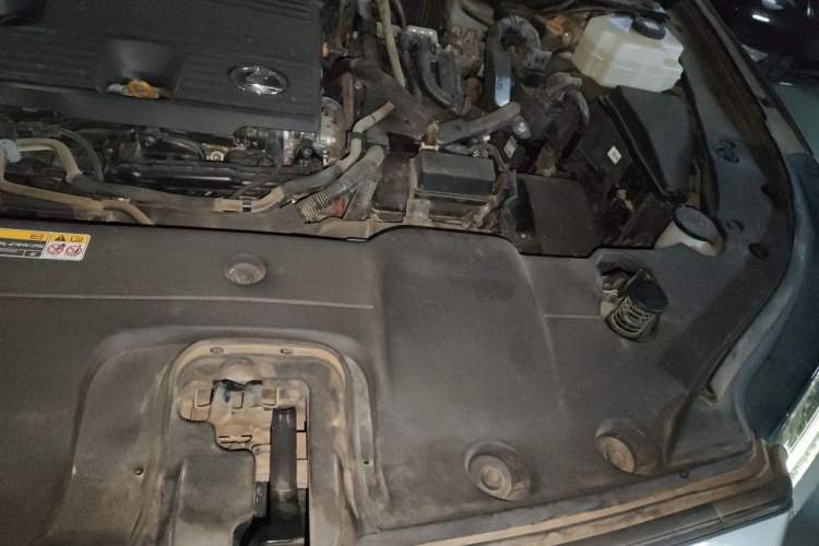 Used Lexus RX 2023 350h Two-Wheel Drive Enjoyment Version Engine Bay Left