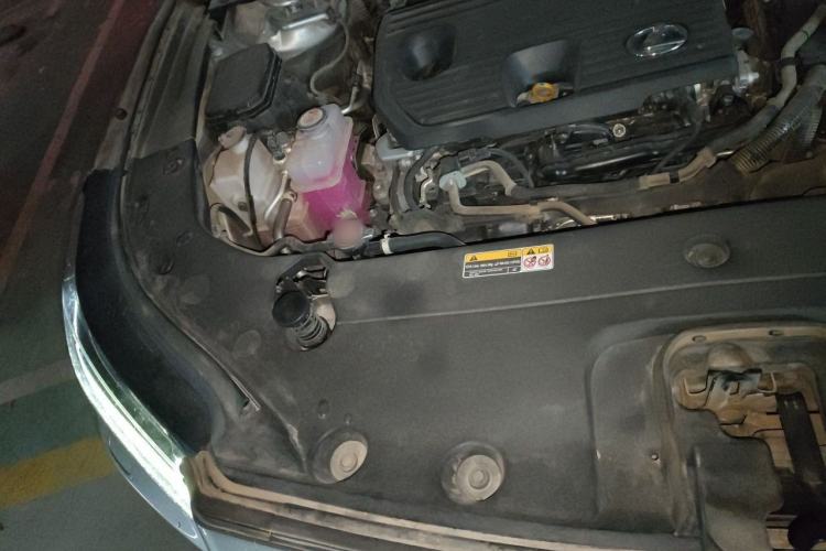 Used Lexus RX 2023 350h Two-Wheel Drive Enjoyment Version Engine Bay Right
