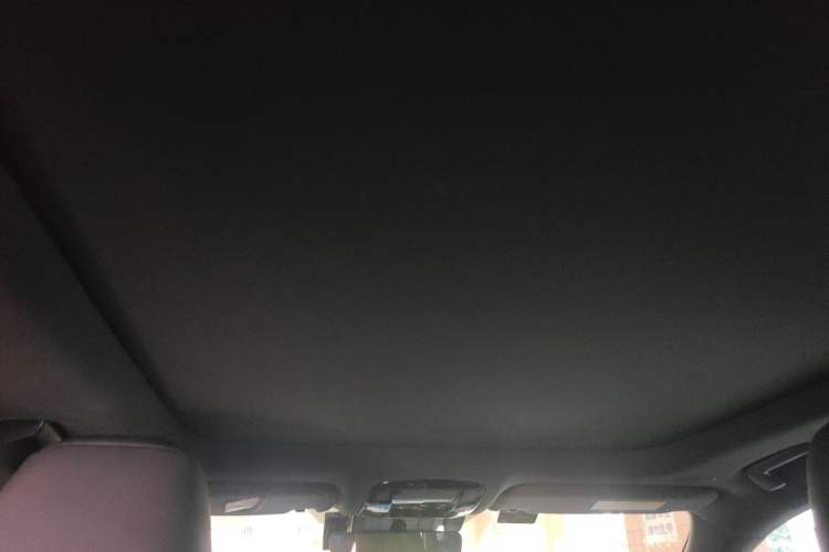 Used Lexus RX 2023 350h Two-Wheel Drive Comfort Edition Headliner