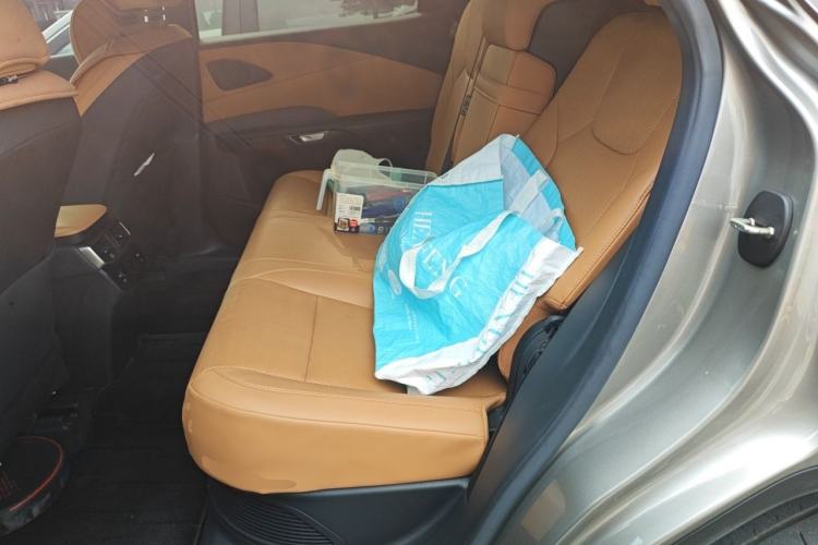 Used Lexus RX 2023 350h Two-Wheel Drive Comfort Edition Left Rear Seat