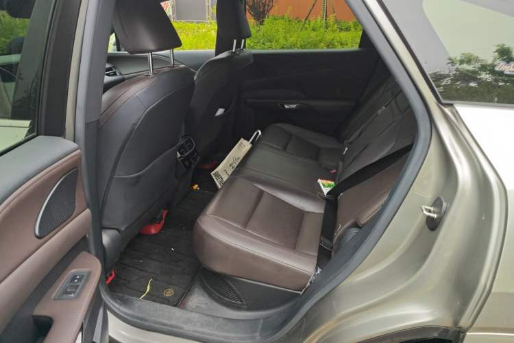 Used Lexus RX 2023 350h Four-Wheel Drive Enjoyment Version Left Rear Seat