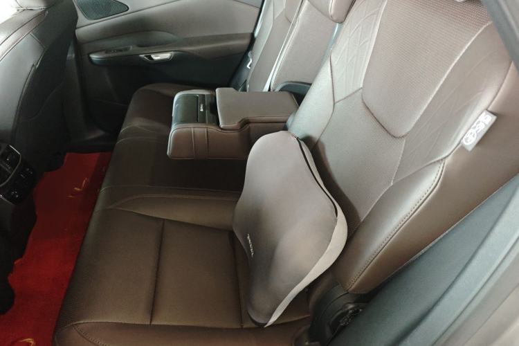 Used Lexus RX 2023 350h Four-Wheel Drive Enjoyment Version Left Rear Seat